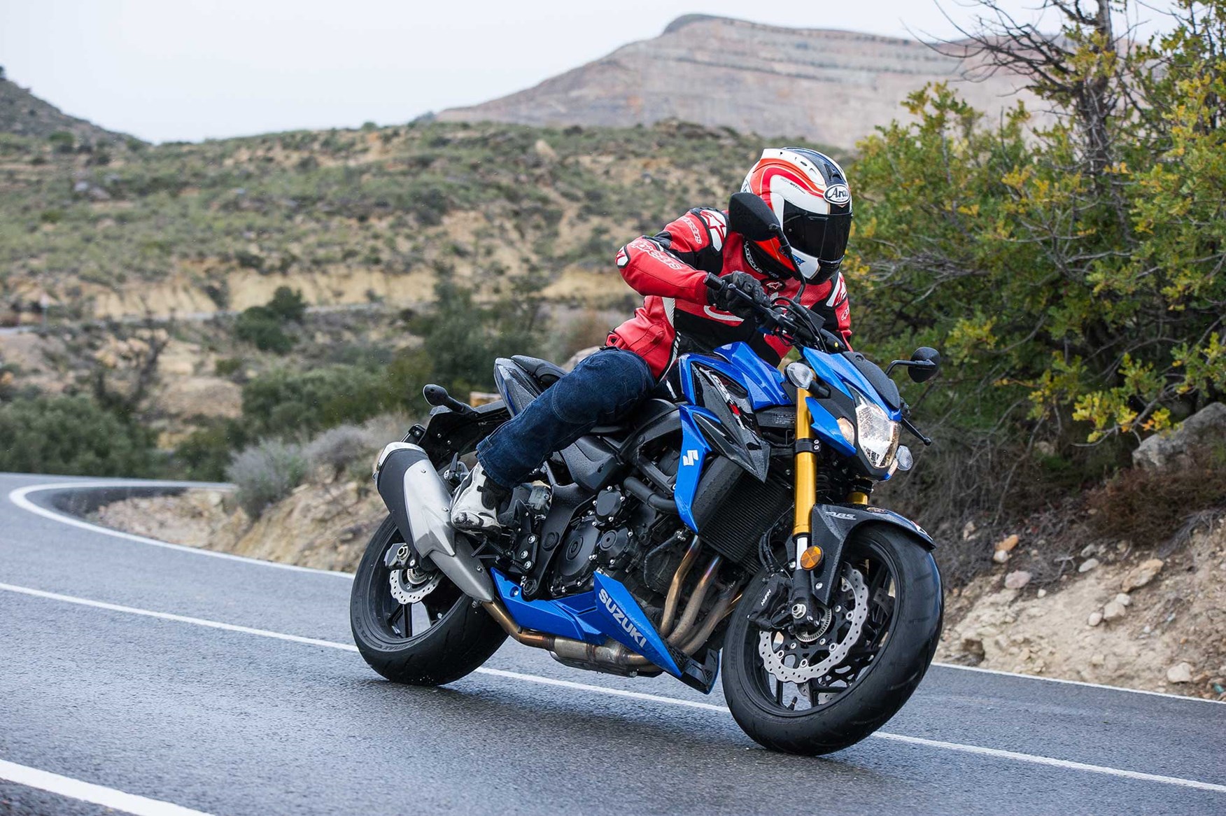 Suzuki GSX s750 back