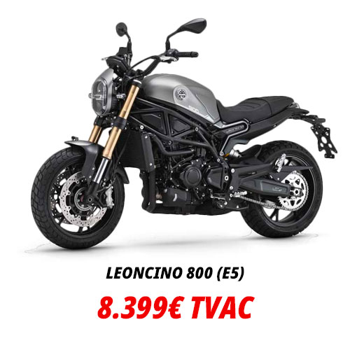 Leoncino-800-(E5)